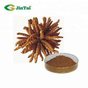 高品質の有機冬虫夏草キノコエキス粉末冬虫夏草エキス<span class=keywords><strong>3</strong></span>% 冬虫夏草エキス - Product Image 5