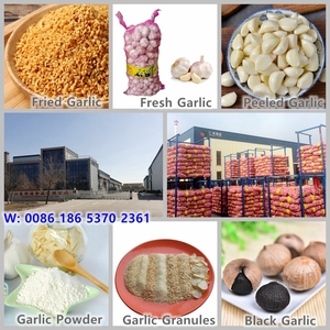 Nhập Khẩu Gừng Tươi Khô Từ Trung Quốc - Product Image 6