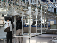 Machine automatique de coupe des pattes de poulet pour volailles, facile à installer, compatible avec les lignes de production automatiques