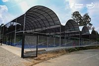 Couverture de terrain de padel en gros avec accessoires de padel