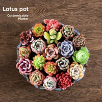 Pot de fleurs créatif en céramique, haut et respirant, avec trou de drainage, écologique, pour la décoration de la maison et du bureau, idéal pour les petites plantes vertes