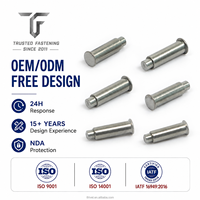 TianFang Custom Step Rivets in Stainless Steel, Solid or Semi-Tubular Precision Fasteners, Made to Sample or Drawing, OEM/ODM