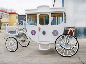 รถม้าไฟฟ้าดีไซน์คลาสสิคสีขาวลายเรโทร สำหรับ 4-6 คน แบบรถเจ้าหญิงหรูหรา  สีสั่งทำพิเศษสำหรับขาย - Product Image 3