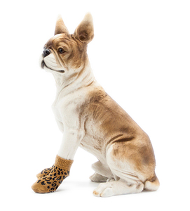 Zhong de निर्माता नरम लुभावनी पालतू मोजे कस्टम डिजाइन पालतू परिधान कुत्तों के लिए एंटी-स्लिप पाव कुत्तों के लिए मोजे - Product Image 3