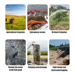 Conjunto de Bomba de Água Diesel para Irrigação Agrícola Portátil de Alta Pressão Bomba de Água Diesel para Trator - Product Image 5