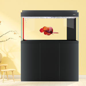 ถังปลา<span class=keywords><strong>มังกร</strong></span>แบบสั่งทำ,ตู้ปลาอุปกรณ์ตู้ปลาแก้วอะคริลิคสีทองเสียงเงียบมาก - Product Image 3