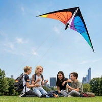 SUNEYE SEF17 Zhejiang Kite 2.4m Dual-Line Polyester Fabric Durable Stunt Sports Soaring Swallow Ready Fly Adults Freestyle 30m