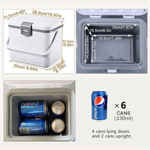 Borsa Termica Portatile per Vaccini e Insulina, 2-8 Gradi, Scatola Refrigerante Bloccabile in EPS/PU, Congelatore Portatile da Esterno 4,5L - Product Image 3