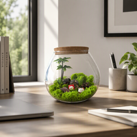 Terrarium en verre borosilicate fait main 20*18cm pour micro-paysage, décoration de mousse, maison, bureau, bureau à domicile