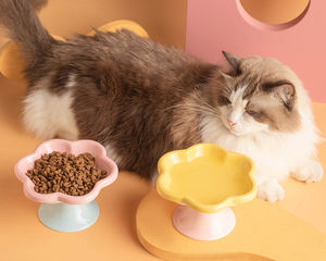 High Quality Cute <b>Dog</b> <b>Bowl</b> Neck Protector Pet Ceramic Flower <b>Bowls</b> Durable <b>Dog</b> Feeder - Product Image 3