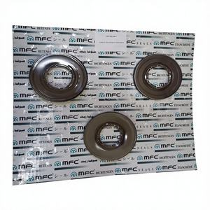 Recomendación del Gerente de Tienda: Kits de Embrague y Accesorios de Pistones de Transmisión Peugeot TF70SC de Alta Calidad de Taiwán - Product Image 2