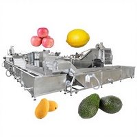 Mango Schone Schil Plak Droog Fruit Reinigings-En Pulpmachine Voor Het Reinigen En Snijden Van Industrieel Fruit