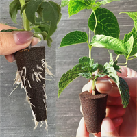 Panier de plantation respirant de haute qualité, blocs de tourbe hydratants pour semis, mini culture sans terre, éponge d'enracinement hydroponique