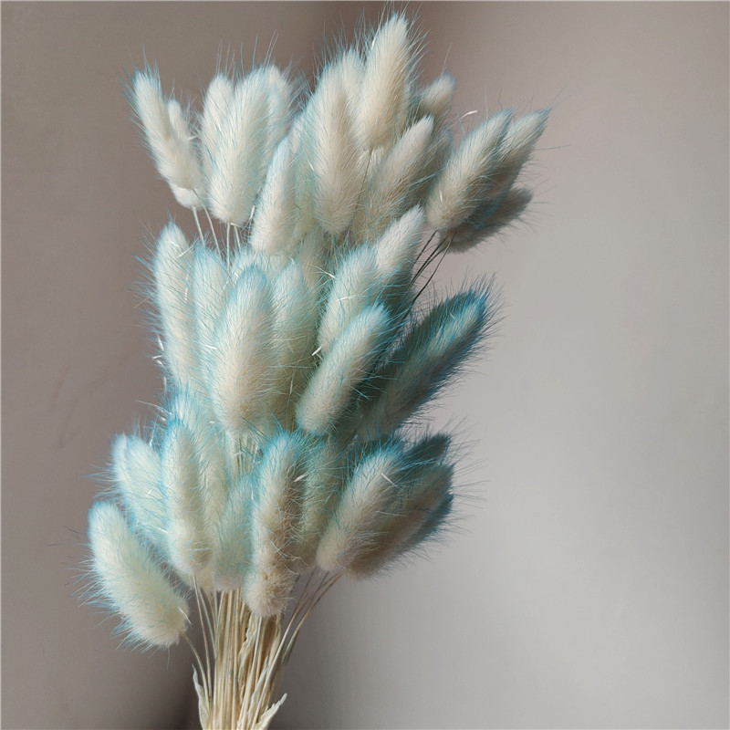 Blue 1