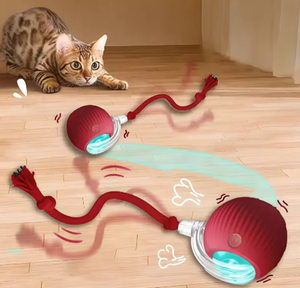 Brinquedos gato quente são automaticamente Provocando gato Bolas e Auto-excitante gato Varas e carrapatos e resistente ao desgaste e mordida Pet Brinquedos - Product Image 1