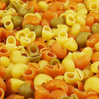Meilleur prix, ligne de production de pâtes fraîches, macaroni, vente en gros, machine à fabriquer des pâtes en usine, 200 kg/h