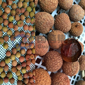 OEM continuous Energy-saving equipment fruit <b>mesh</b> belt dryer Longan dryer dried fruit processing - Product Image 3
