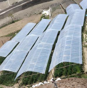 Lámina de Plástico para Invernadero, Blanca y Negra, Impermeable, para Uso Agrícola, con Efecto Anti-Algas - Product Image 3