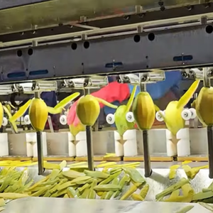 Venta al por mayor de mango de secado suave, suministro a granel, precio de fábrica competitivo para revendedores - Product Image 1