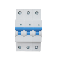 Interrupteur principal Double pôle 100 A Monophasé Triphasé IC65 MCB Disjoncteur G1 G2 G3 G4 disjoncteur 16A 32A 63A 100A