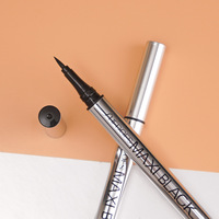 2024 vente chaude argent Tube Jet Black Eye Liner Ultra Fine brosse Eyeliner liquide Maxi noir Eyeliner pour dames