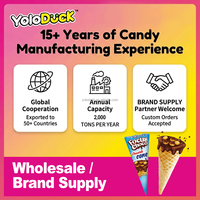 Cornets de crème glacée, biscuits croustillants fourrés au chocolat, mini-pains fourrés à la fraise, bonbons fantaisie en vrac, OEM pour distributeurs YOLODUCK