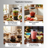 NK-B149 Elektrische RVS Blender voor Smoothies, Shakes, Puree, IJs & Bevroren Fruit 1000W