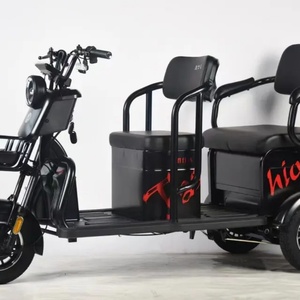 Tricycle électrique familial 800W, scooter de mobilité à carrosserie ouverte, transport à trois roues pour usage familial - Product Image 3
