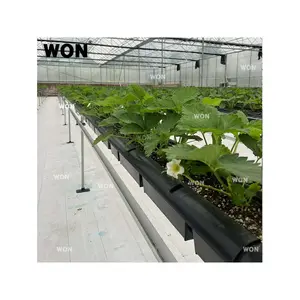 WON Orchard Reflective Ground Cover Reflective Weed Barrier White Weed Mat Woven Groundcover Custom Greenhouse