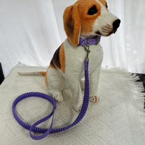 Set kerah dan tali anjing kustom desain mewah & tahan lama Premium UNTUK penggunaan sehari-hari dipersonalisasi dengan nama anjing Anda - Product Image 2