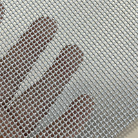 Grillage de sécurité en acier inoxydable 304 316, revêtement noir en poudre, protection contre les insectes et les moustiques pour fenêtres