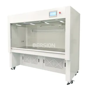 Classe 100 ISO5 laboratoire avec filtre HEPA flux laminaire armoire verticale salle blanche propre banc propre