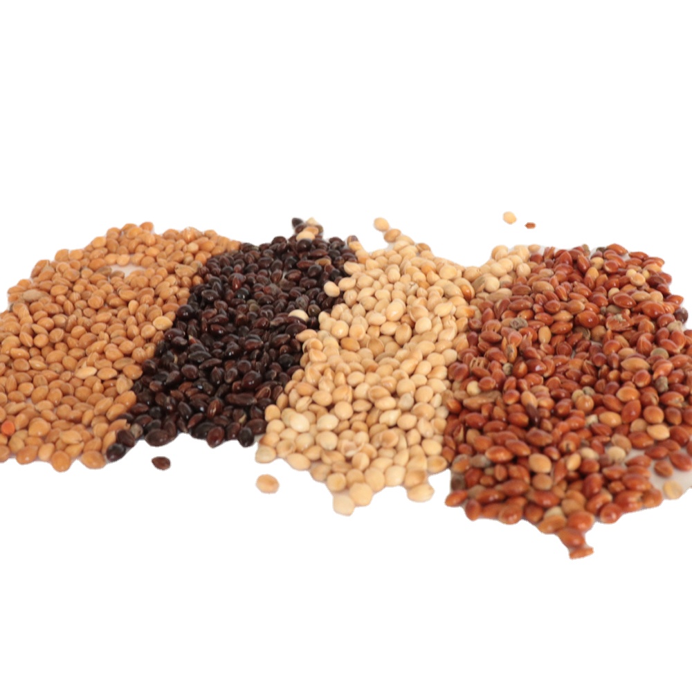 Nihewan Broomcorn просо черный красный белый желтый просо зерна