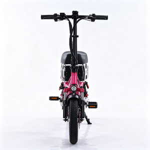 Moto de Nieve para Adultos con Motor Trasero sin Escobillas de 48V 500W, Doble Suspensión de Aluminio y Frenos de Disco - Product Image 4