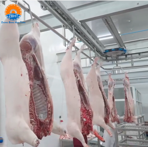 Machine d'abattage automatisée pour grande abattoir de porcs, garantie 1 an, équipement en acier inoxydable, 380V 220V - Product Image 2