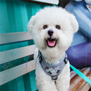 YooGo YG-895 Rompi Harness Hewan Peliharaan Berbahan Bernapas dengan Bantalan Motif Bunga untuk Kucing & Anjing Desain Mewah yang Dapat Di Personalisasi - Product Image 4