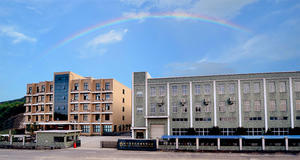 <span class=keywords><strong>Scatola</strong></span> di <span class=keywords><strong>latta</strong></span> rettangolare in metallo stampata personalizzata per tè al Ginseng e imballaggi a base di erbe | Contenitore regalo per uso alimentare - Product Image 5