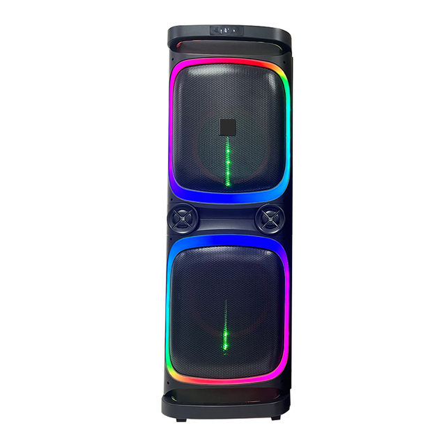 150W Karaoke System Player 2X 12" Bass + Tweeter with BT RGB Light Microphone XLR/RCA/USB Plastic Portable Audio Speaker