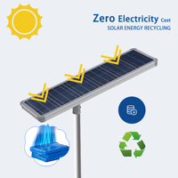 Farola LED Solar DC con Certificación IP66, CCC, CE y RoHS, Batería Lifepo4, Aluminio, Garantía de 5 Años, para Carreteras, Jardines y Montaje en Pared