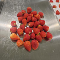 DQ Guangzhou Daqiao Industrieel Commercieel Ananas Snijmachine Vers Fruit Verwerkingslijn Motor Kerncomponent 60000