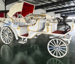 Carrosses de Mariage Électriques Spéciaux pour Visites Touristiques, Prix Usine, Transport de Luxe, à Vendre - Product Image 3