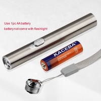 QXMOVING Mini lampe torche 3-en-1 porte-clés, lumière rouge, en acier inoxydable, alimentée par piles AA, petite lampe de poche LED UV 395nm pour jouet pour chat