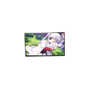 Écran LCD professionnel de 14,0 pouces 1366*768 LP140WFH-SPD3 TN IPS - Product Image 1