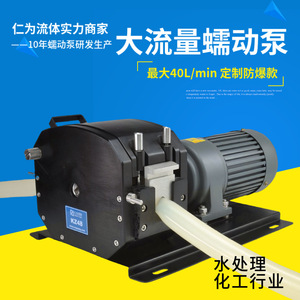 Rj Peristaltic <b>Pump</b> Sf600ckz48 Servo Motor 304 Stainless Steel Chemical <b>Pump</b> - Product Image 4