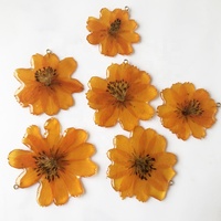 Pesona Bunga Cosmos Sulphureus Kering Asli untuk Pembuatan Perhiasan Liontin Resin Epoksi