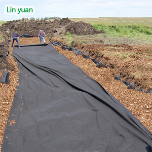 Landfill PET Polyester Non Woven <strong>Geotextile</strong> 500gsm <strong>Geotextile</strong> Geogrid Liner Fabric <strong>Jute</strong> Impervious <strong>Geotextile</strong> Fabric - Product Image 3