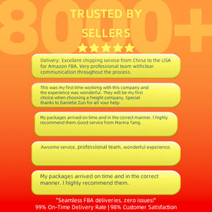 Hava Kargo Acentesi Nakliyeci FBA Amazon DDP FCL+LCL Ekspres Çin'den Kaliforniya'ya DDP Vergi Dahil Hava Kargo Hizmeti - Product Image 6