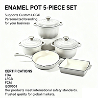Ensemble de casseroles en fonte émaillée 5 pièces, compatible four, pour cuisinière à induction et gaz