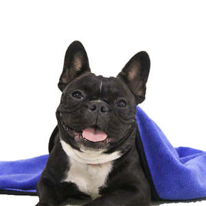 Toalla de Baño para Perros y Gatos, de Algodón Ecológico, Suave y de Secado Rápido, Proveedores, Gran Venta - Product Image 6