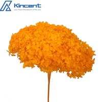 Vente en gros de haute qualité, couleur absorbante, hortensia Anna éternelle, accessoires de décoration intérieure, décoration de mariage, hortensia préservé